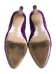 Miu Miu Suede Pumps