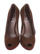 Miu Miu Suede Pumps