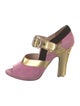 Miu Miu Suede Colorblock Pattern Pumps