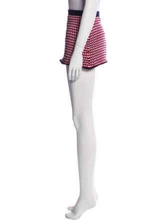 Miu Miu 2014 Mini Skirt