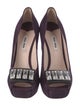 Miu Miu Suede Crystal Embellishments Pumps