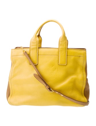 Miu Miu Signature Vitello Daino Caribu