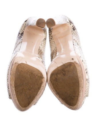 Miu Miu Snakeskin Animal Print