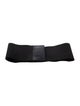 Miu Miu Wide Waist Belt