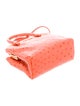 Miu Miu Ostrich Shoulder Bag Mini