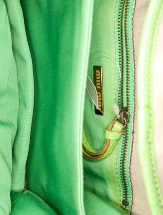 Miu Miu Canvas Crossbody Bag