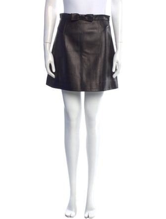 Miu Miu 2017 Mini Skirt