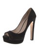 Miu Miu Suede Pumps