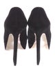 Miu Miu Suede Pumps