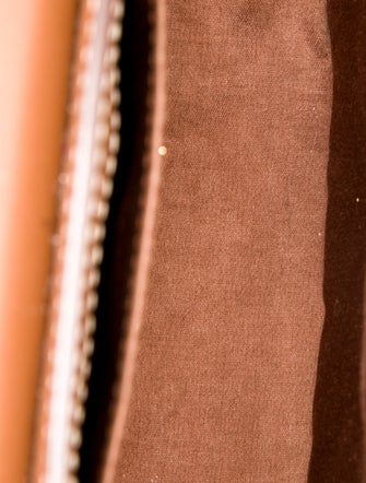 Miu Miu Calfskin Crossbody Bag