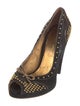 Miu Miu Suede Studded Accents Pumps