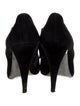 Miu Miu Suede Pumps