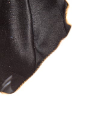 Miu Miu Leather Wander Mini