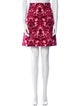 Miu Miu 2016 Mini Skirt