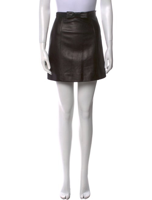 Miu Miu 2017 Mini Skirt