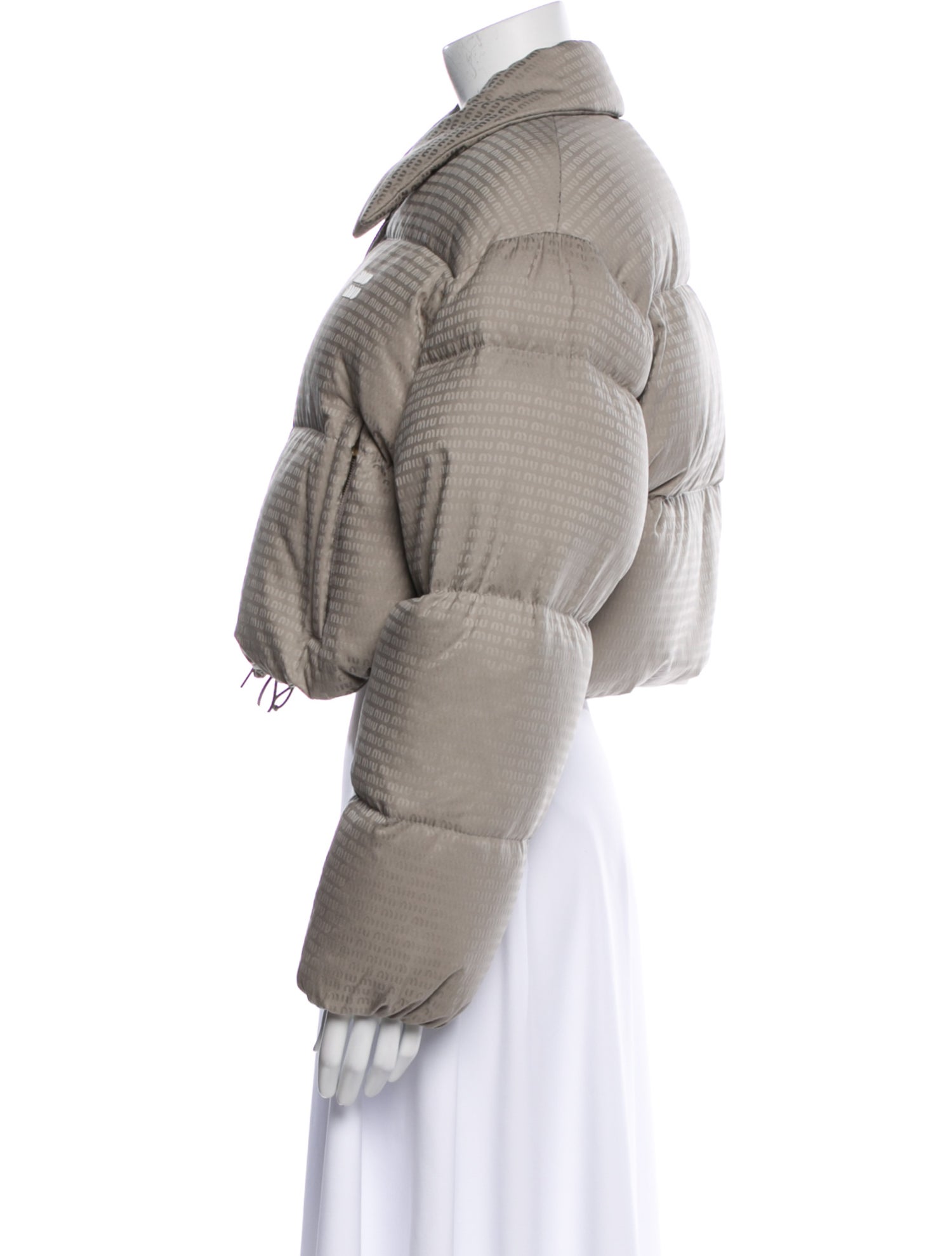 Miu Miu 2024 Down Jacket w/ Tags