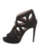 Miu Miu Suede Cutout Accent Pumps