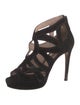 Miu Miu Suede Cutout Accent Pumps