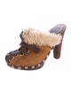 Miu Miu Shearling Lace-Up Clogs