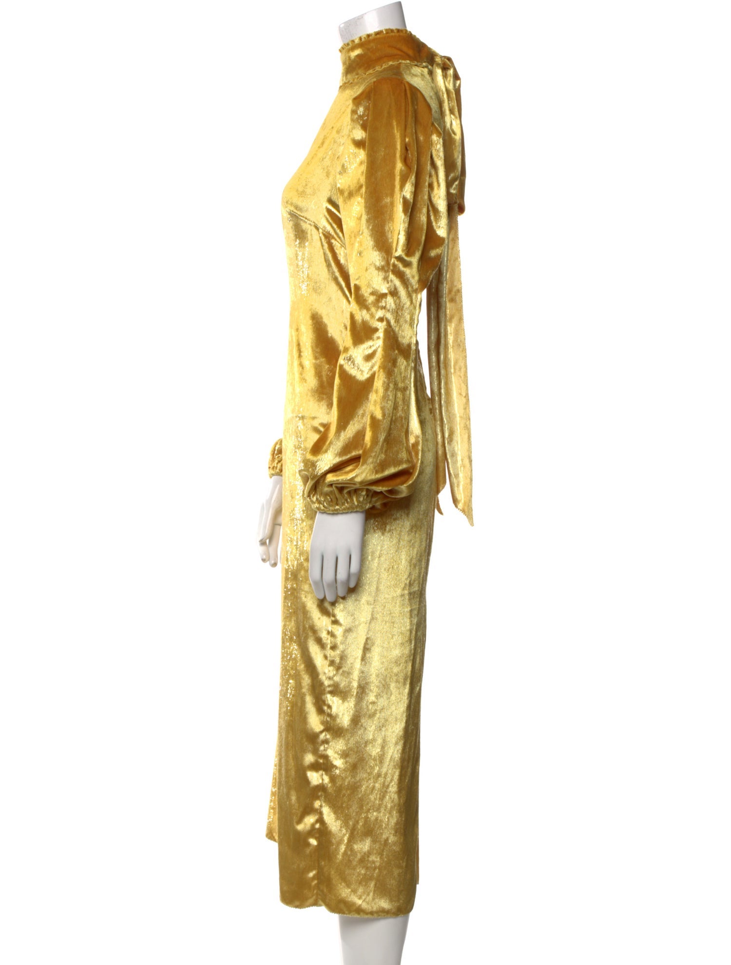 Maria Lucia Hohan Turtleneck Midi Length Dress