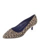 Max Mara Suede Animal Print Pumps
