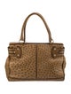 Max Mara Ostrich Top Handle Bag