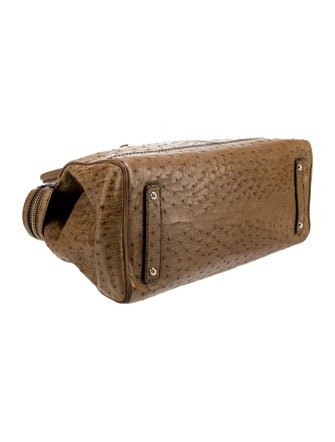 Max Mara Ostrich Top Handle Bag