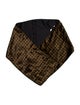Max Mara Printed Scarf