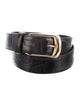 Max Mara Skinny Embossed Leather Belt Kit