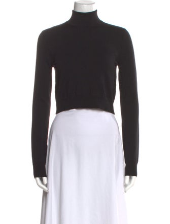 Max Mara Turtleneck Long Sleeve Crop Top