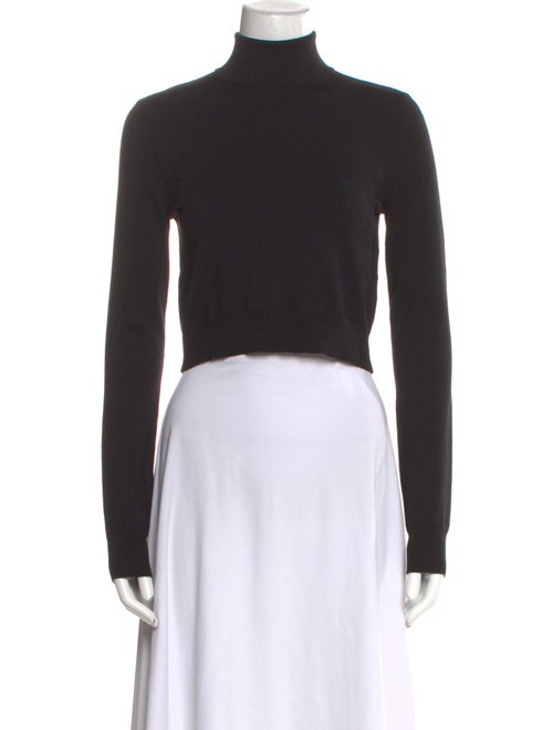 Max Mara Turtleneck Long Sleeve Crop Top