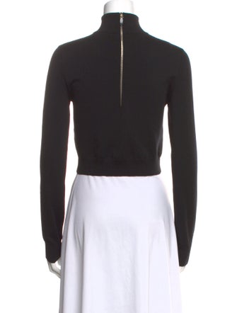 Max Mara Turtleneck Long Sleeve Crop Top