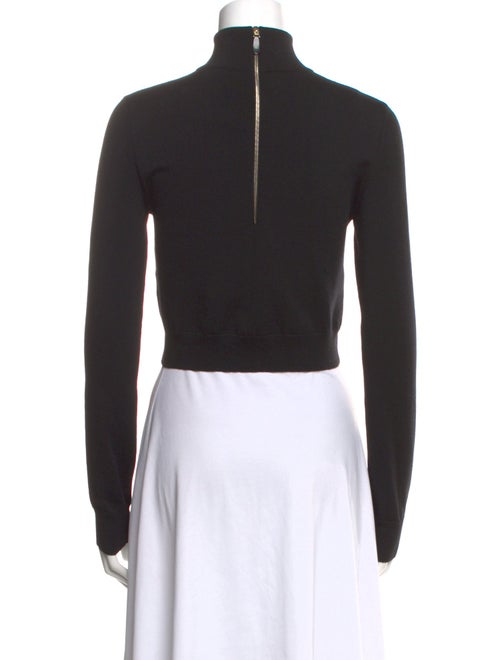 Max Mara Turtleneck Long Sleeve Crop Top