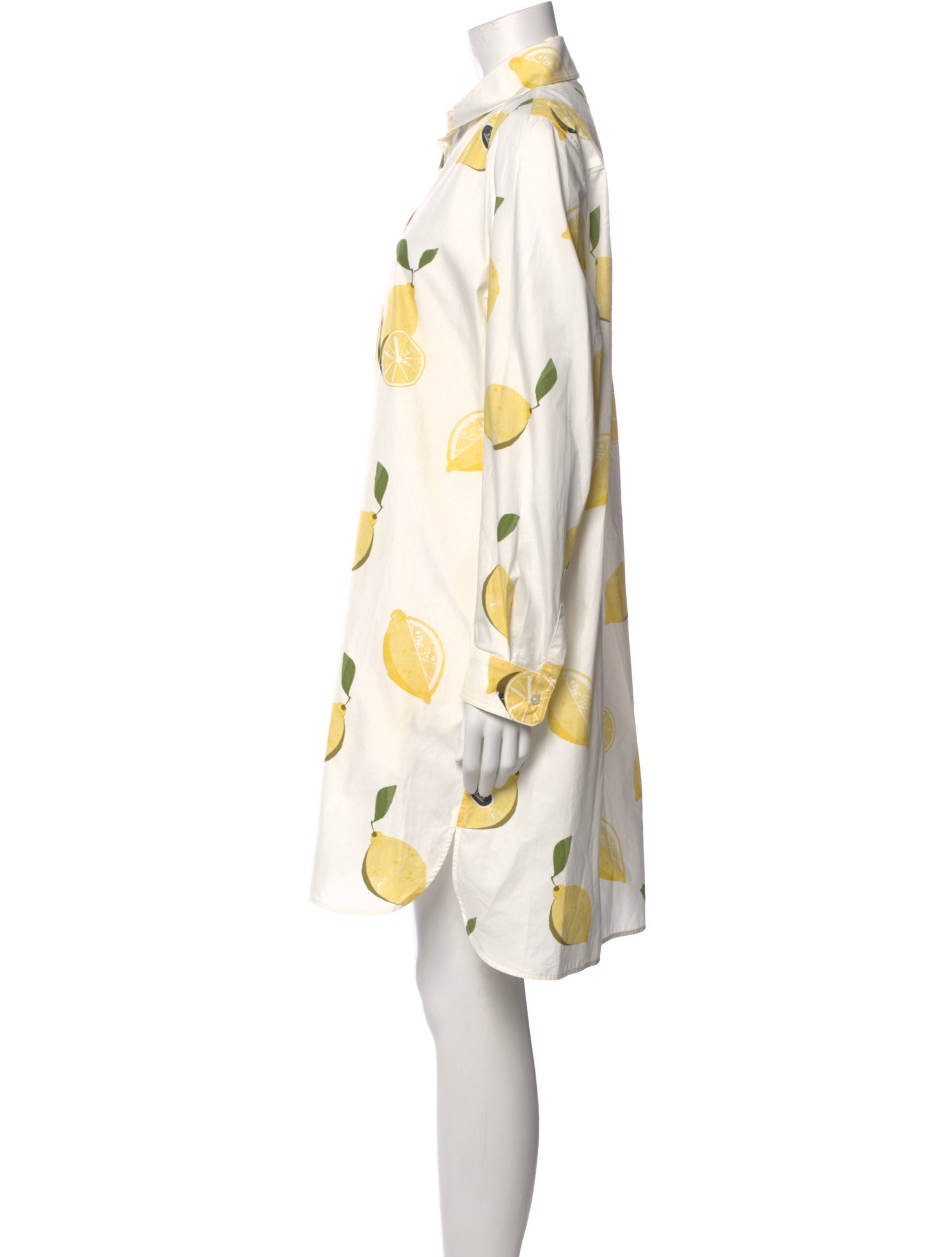 Max Mara Printed Knee-Length Dress