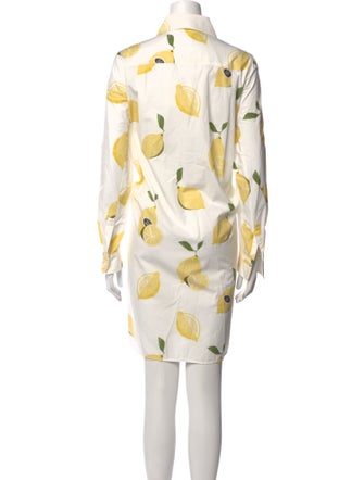 Max Mara Printed Knee-Length Dress
