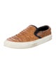 Diemme Python Animal Print Sneakers