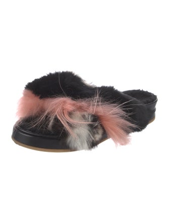 Mr & Mrs Italy Slides