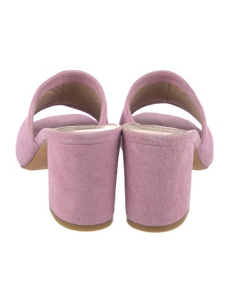Maryam Nassir Zadeh Suede Slides
