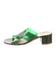 Maryam Nassir Zadeh PVC Slides