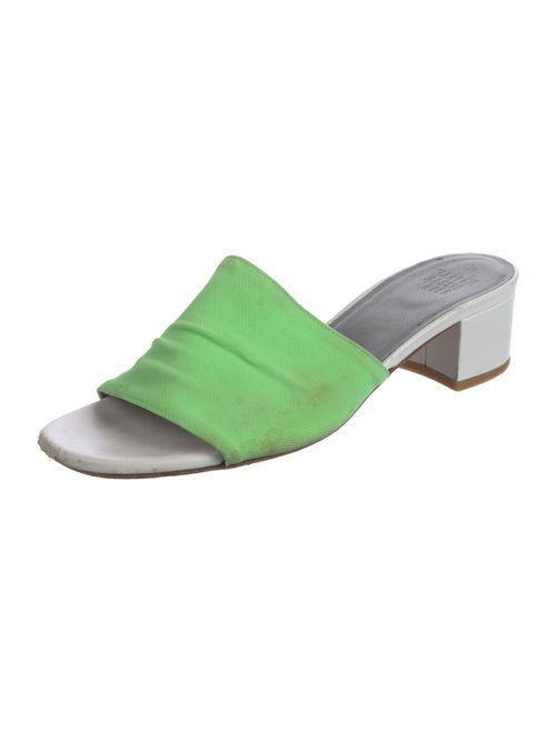 Maryam Nassir Zadeh Canvas Slides