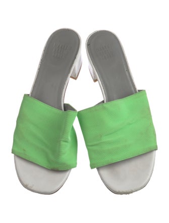 Maryam Nassir Zadeh Canvas Slides