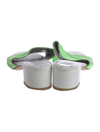 Maryam Nassir Zadeh Canvas Slides