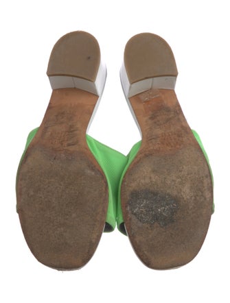 Maryam Nassir Zadeh Canvas Slides