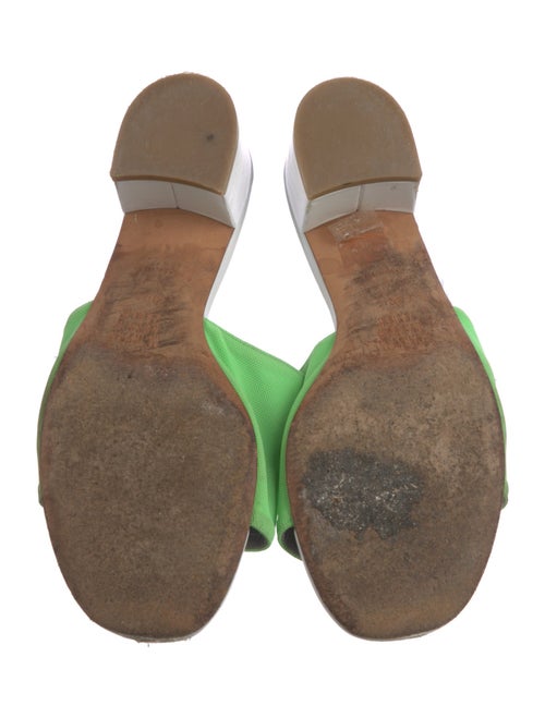 Maryam Nassir Zadeh Canvas Slides