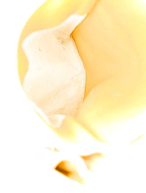 Maryam Nassir Zadeh Leather Crossbody Bag