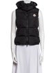 Moncler Gallinule Down Down Jacket