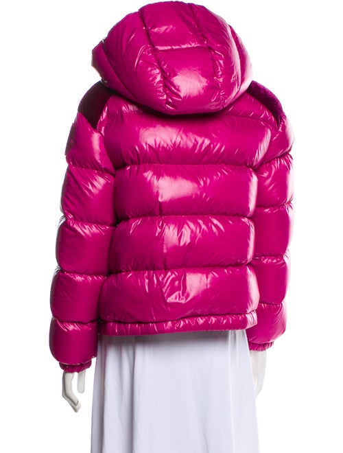Moncler Goose Down Jacket