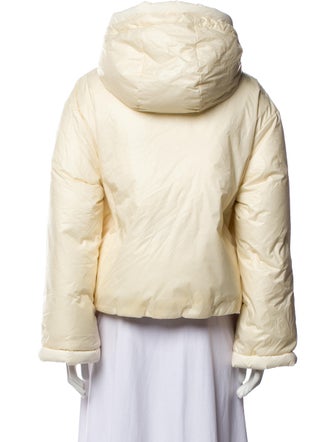 Moncler Genius 2021 Alisia Down Jacket