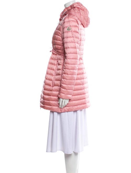 Moncler Goose Down Down Coat