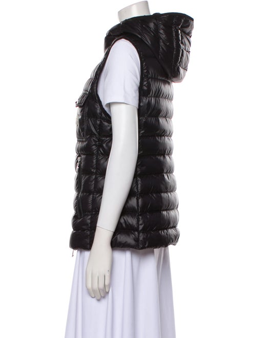 Moncler Goose Down Down Jacket